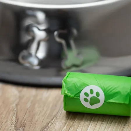 Lynx Hanza Pool Sauna * Stettin